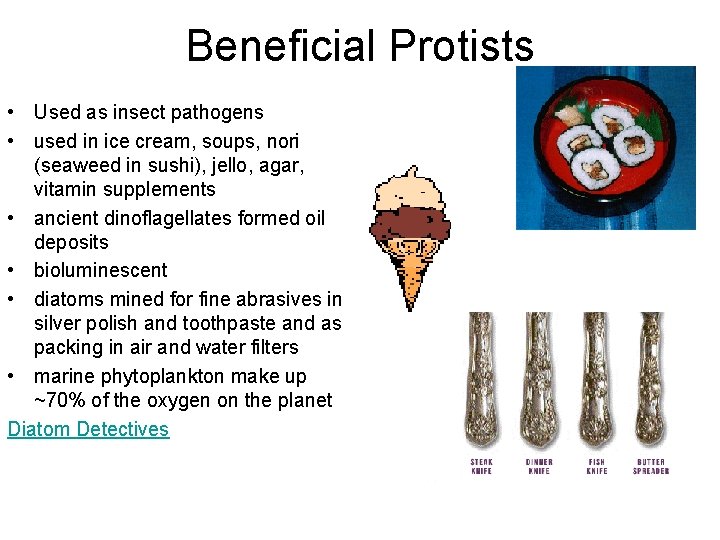 Beneficial Protists • Used as insect pathogens • used in ice cream, soups, nori