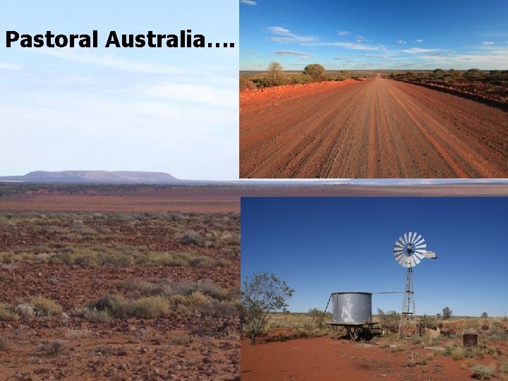 Pastoral Australia…. 