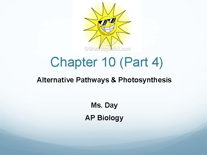 Chapter 10 (Part 4) Alternative Pathways & Photosynthesis Ms. Day AP Biology 