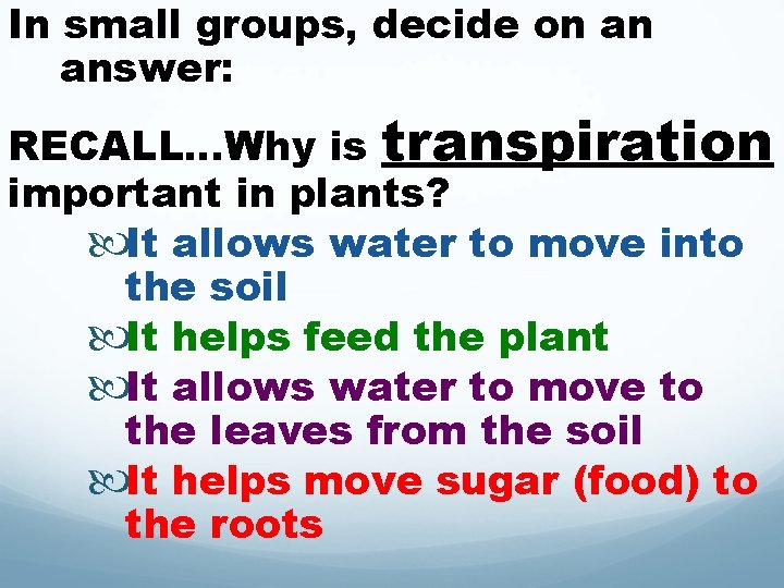 In small groups, decide on an answer: RECALL…Why is transpiration important in plants? It