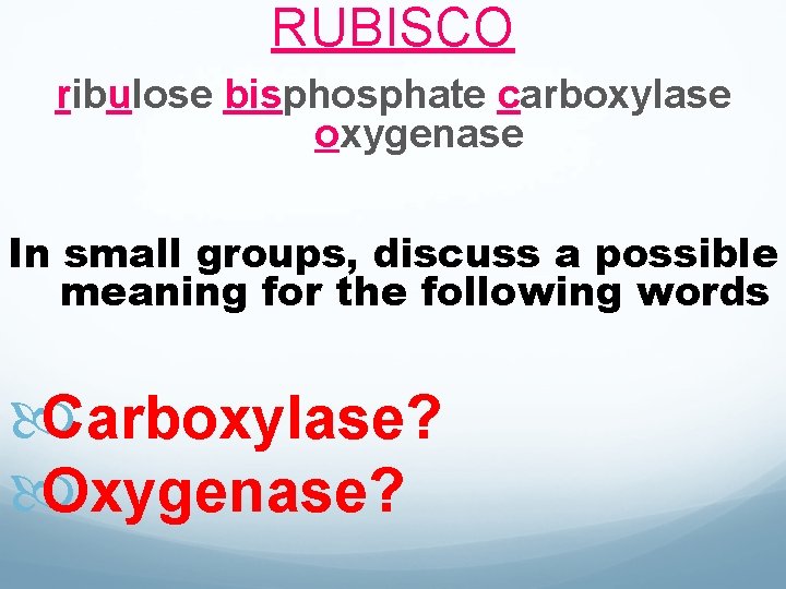 RUBISCO ribulose bisphosphate carboxylase oxygenase In small groups, discuss a possible meaning for the