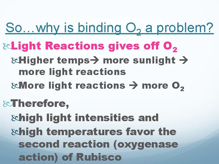 So…why is binding O 2 a problem? Light Reactions gives off O 2 Higher