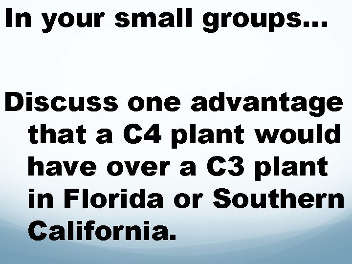 In your small groups… Discuss one advantage that a C 4 plant would have