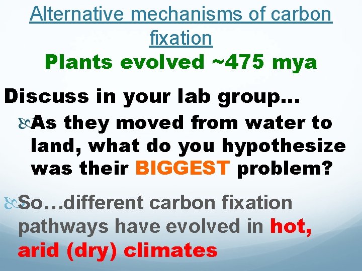 Alternative mechanisms of carbon fixation Plants evolved ~475 mya Discuss in your lab group…