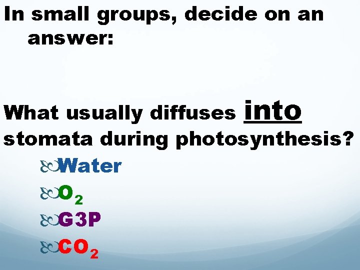 In small groups, decide on an answer: What usually diffuses into stomata during photosynthesis?
