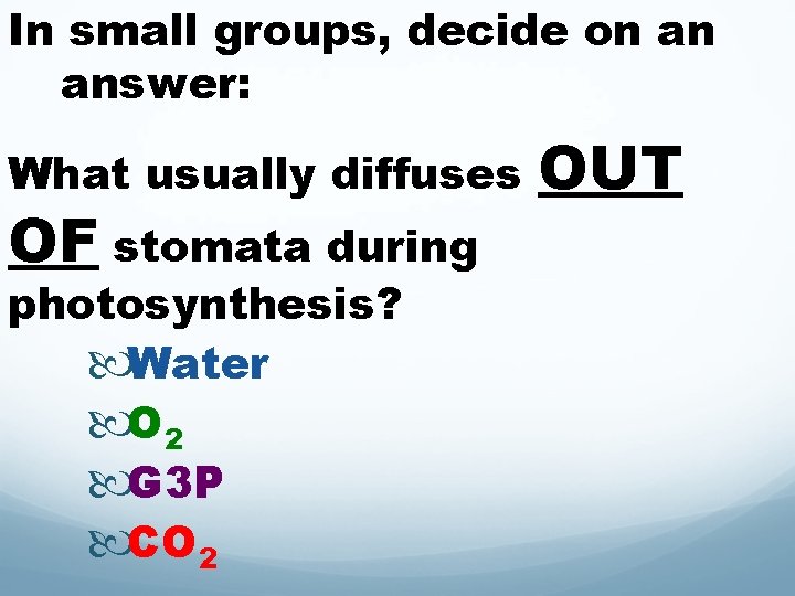 In small groups, decide on an answer: What usually diffuses OF stomata during photosynthesis?