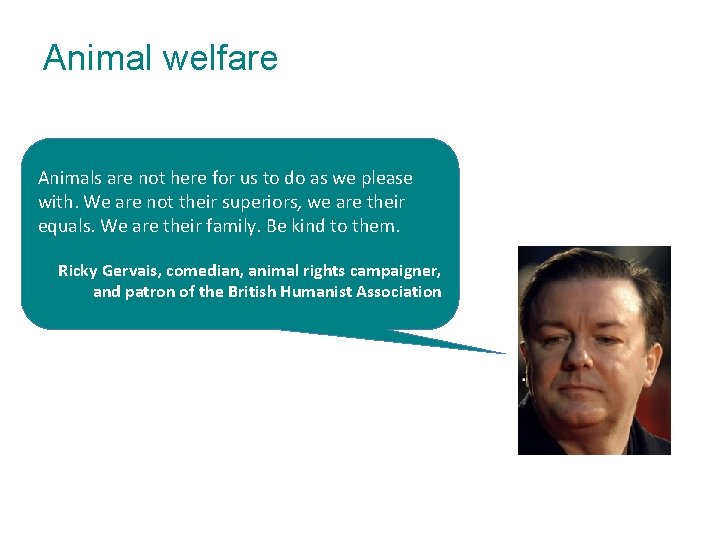 Animal welfare Animals are not here for us to do as we please with. Animal welfare Animals are not here for us to do as we please with.
