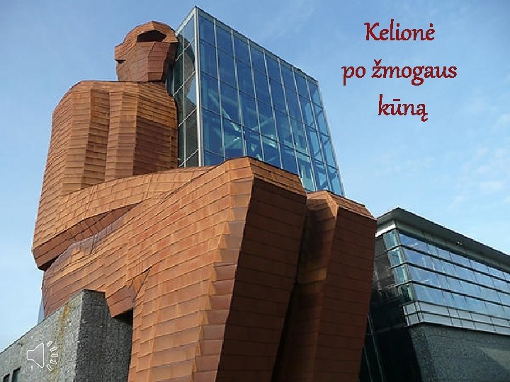 Kelionė po žmogaus kūną 