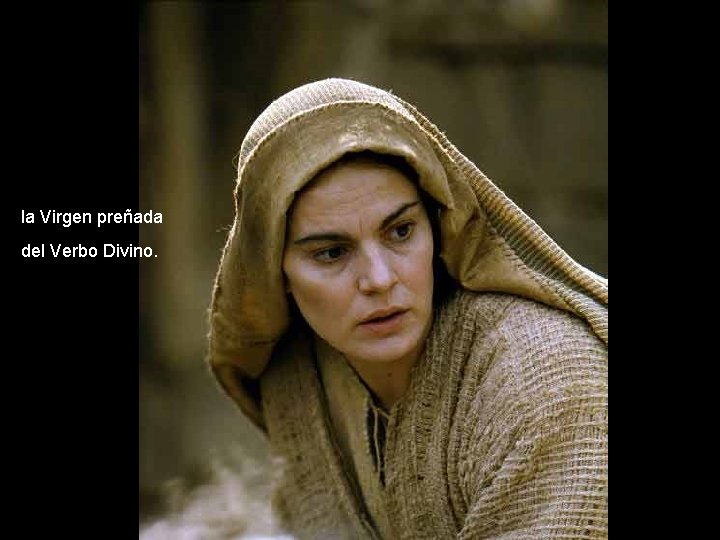 la Virgen preñada del Verbo Divino. 