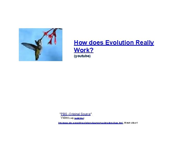 How does Evolution Really Work? (youtube) “PBS -Original Source”. Video (rm) (quicktime) http: //www.