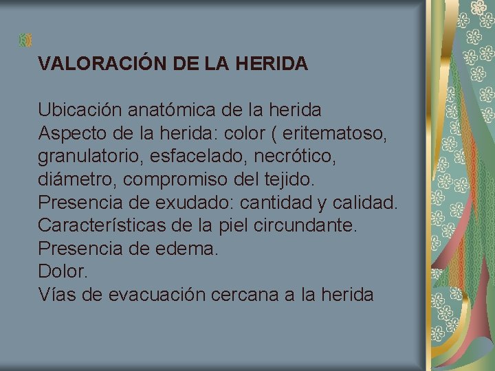 VALORACIÓN DE LA HERIDA Ubicación anatómica de la herida Aspecto de la herida: color