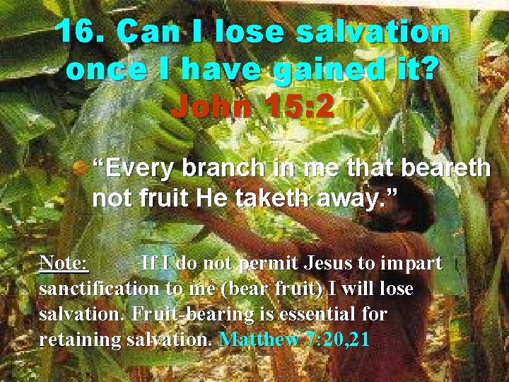 16. Can I lose salvation once I have gained it? John 15: 2 “Every
