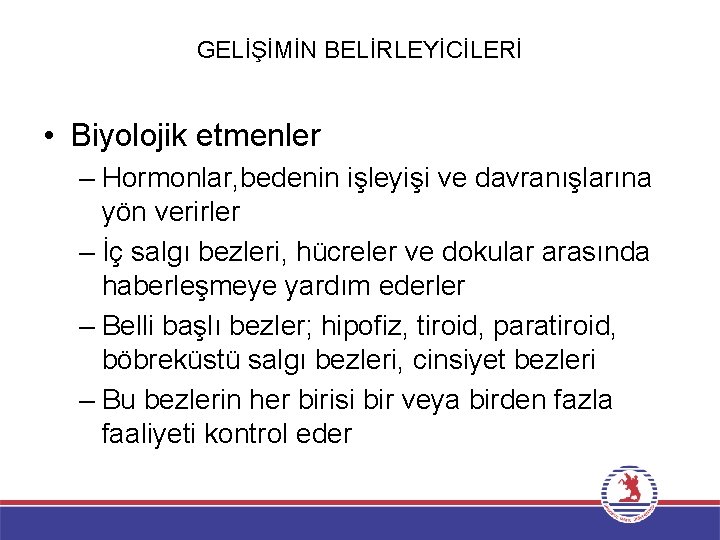 GELİŞİMİN BELİRLEYİCİLERİ • Biyolojik etmenler – Hormonlar, bedenin işleyişi ve davranışlarına yön verirler –