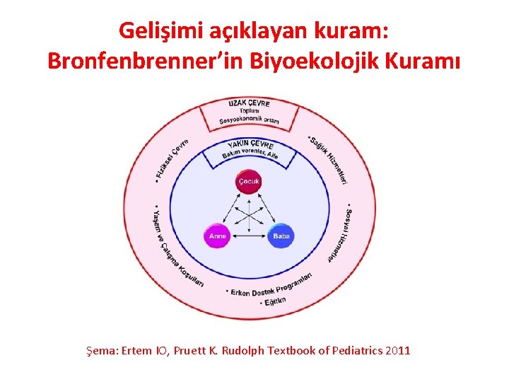 Gelişimi açıklayan kuram: Bronfenbrenner’in Biyoekolojik Kuramı Şema: Ertem IO, Pruett K. Rudolph Textbook of