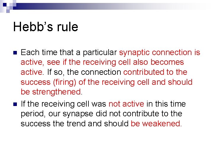 Hebb’s rule n n Each time that a particular synaptic connection is active, see