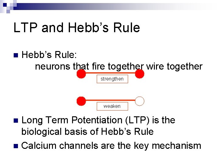 LTP and Hebb’s Rule n Hebb’s Rule: neurons that fire together wire together strengthen LTP and Hebb’s Rule n Hebb’s Rule: neurons that fire together wire together strengthen