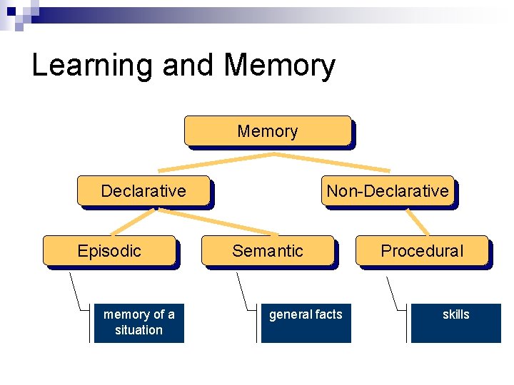 Learning and Memory Declarative Episodic memory of a situation Non-Declarative Semantic general facts Procedural