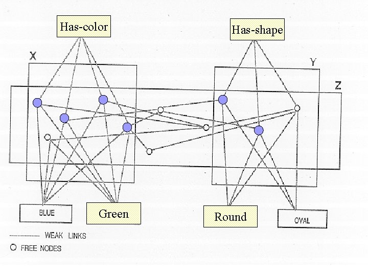 Has-color Green Has-shape Round 