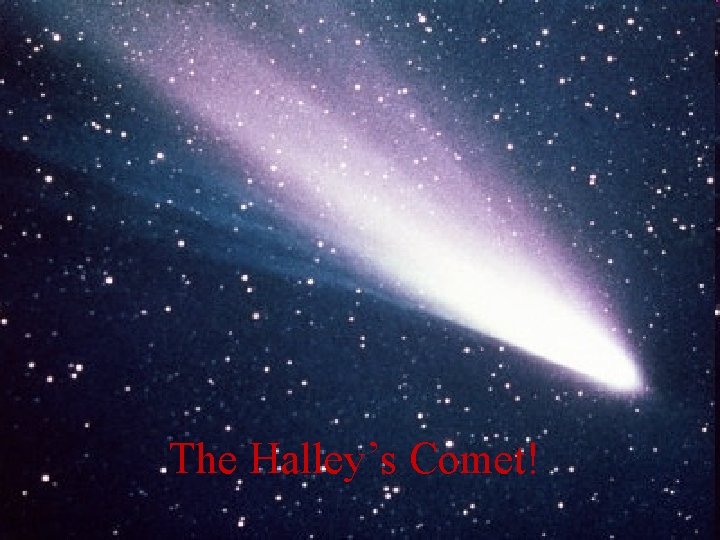 The Halley’s Comet! 