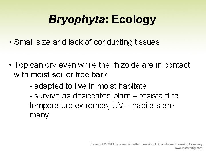 Bryophyta: Ecology • Small size and lack of conducting tissues • Top can dry