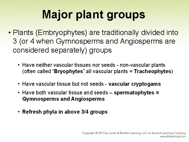 Major plant groups • Plants (Embryophytes) are traditionally divided into 3 (or 4 when