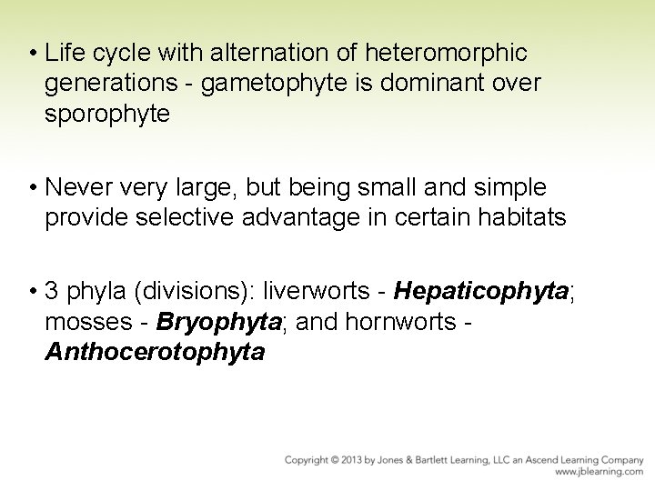  • Life cycle with alternation of heteromorphic generations - gametophyte is dominant over