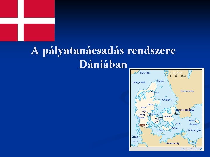 A pályatanácsadás rendszere Dániában 