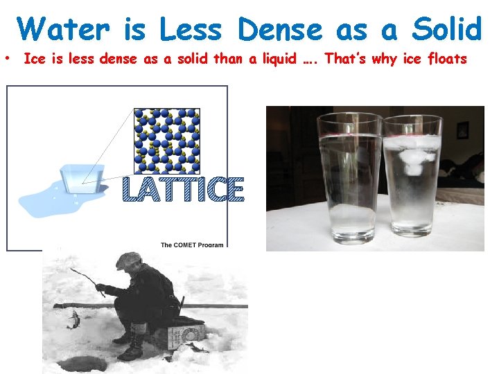 Water is Less Dense as a Solid • Ice is less dense as a