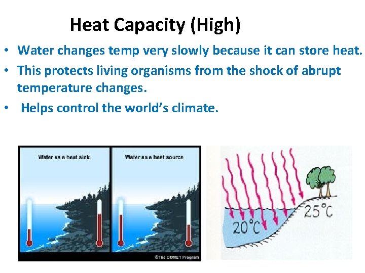 Heat Capacity (High) • Water changes temp very slowly because it can store heat.