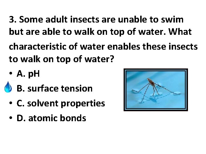 3. Some adult insects are unable to swim but are able to walk on