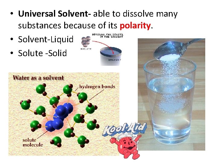  • Universal Solvent- able to dissolve many substances because of its polarity. •