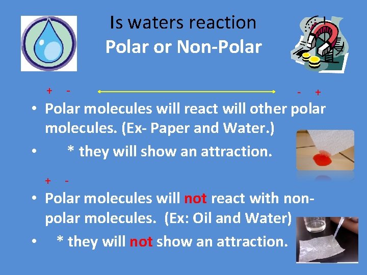 Is waters reaction Polar or Non-Polar + - - + • Polar molecules will