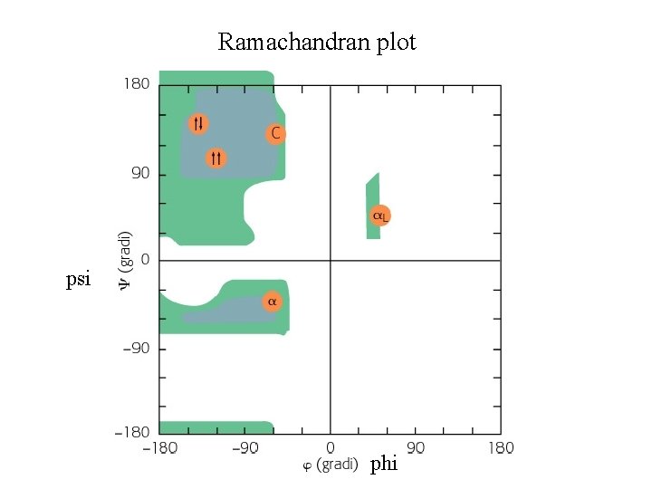 Ramachandran plot psi phi Ramachandran plot psi phi