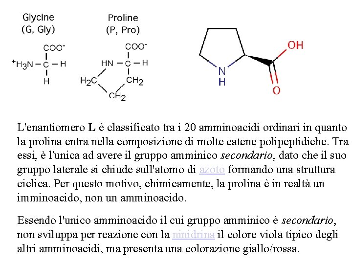 L'enantiomero L è classificato tra i 20 amminoacidi ordinari in quanto la prolina entra L'enantiomero L è classificato tra i 20 amminoacidi ordinari in quanto la prolina entra