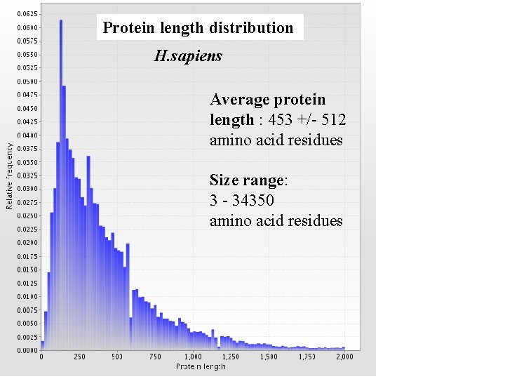 Protein length distribution H. sapiens Average protein length : 453 +/- 512 amino acid Protein length distribution H. sapiens Average protein length : 453 +/- 512 amino acid