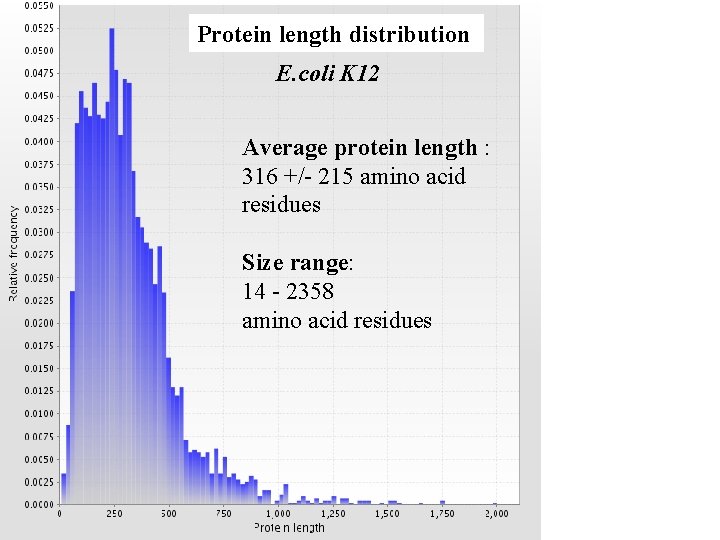 Protein length distribution E. coli K 12 Average protein length : 316 +/- 215 Protein length distribution E. coli K 12 Average protein length : 316 +/- 215