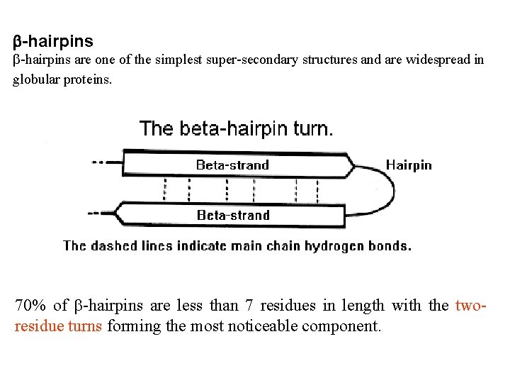 -hairpins are one of the simplest super-secondary structures and are widespread in globular -hairpins are one of the simplest super-secondary structures and are widespread in globular