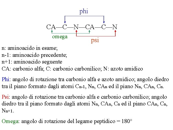 phi CA—C—N—CA—C—N omega psi n: aminoacido in esame; n-1: aminoacido precedente; n+1: aminoacido seguente phi CA—C—N—CA—C—N omega psi n: aminoacido in esame; n-1: aminoacido precedente; n+1: aminoacido seguente
