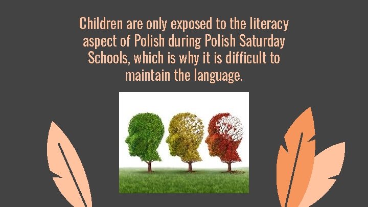 Children are only exposed to the literacy aspect of Polish during Polish Saturday Schools,