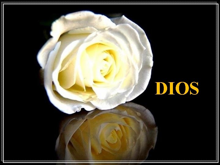 DIOS DIOS