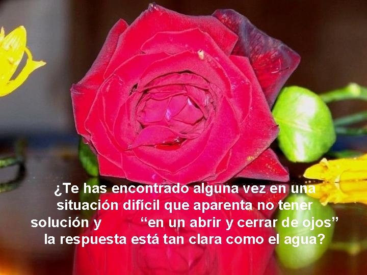 ¿Te has encontrado alguna vez en una situación difícil que aparenta no tener solución ¿Te has encontrado alguna vez en una situación difícil que aparenta no tener solución