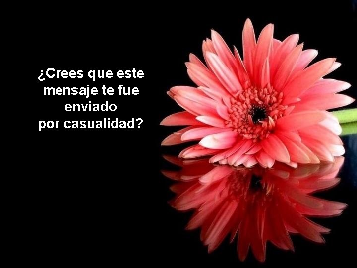 ¿Crees que este mensaje te fue enviado por casualidad? ¿Crees que este mensaje te fue enviado por casualidad?