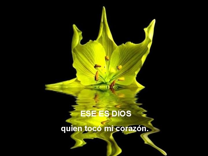 ESE ES DIOS quien tocó mi corazón. ESE ES DIOS quien tocó mi corazón.
