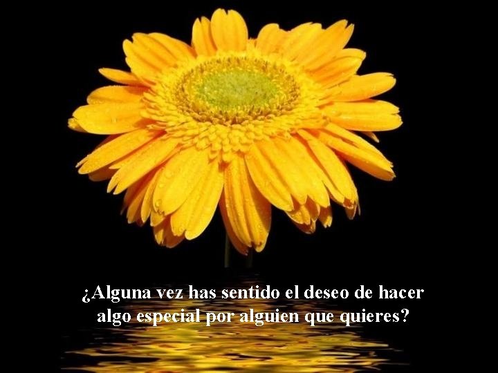 ¿Alguna vez has sentido el deseo de hacer algo especial por alguien que quieres? ¿Alguna vez has sentido el deseo de hacer algo especial por alguien que quieres?