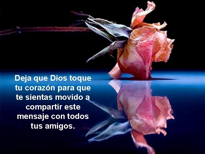 Deja que Dios toque tu corazón para que te sientas movido a compartir este Deja que Dios toque tu corazón para que te sientas movido a compartir este