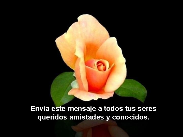 Envía este mensaje a todos tus seres queridos amistades y conocidos. Envía este mensaje a todos tus seres queridos amistades y conocidos.
