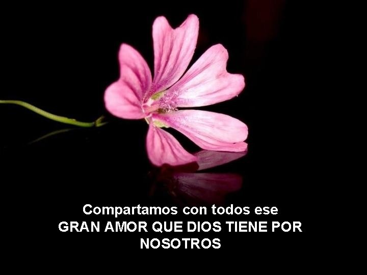 Compartamos con todos ese GRAN AMOR QUE DIOS TIENE POR NOSOTROS Compartamos con todos ese GRAN AMOR QUE DIOS TIENE POR NOSOTROS