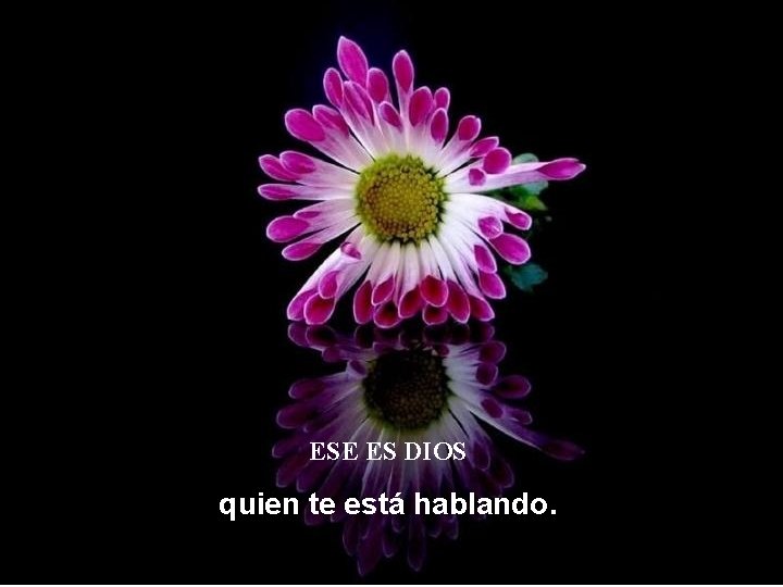 ESE ES DIOS quien te está hablando. ESE ES DIOS quien te está hablando.