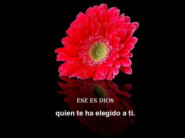 ESE ES DIOS quien te ha elegido a ti. ESE ES DIOS quien te ha elegido a ti.