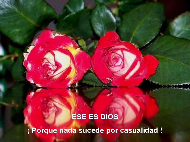 ESE ES DIOS ¡ Porque nada sucede por casualidad ! ESE ES DIOS ¡ Porque nada sucede por casualidad !